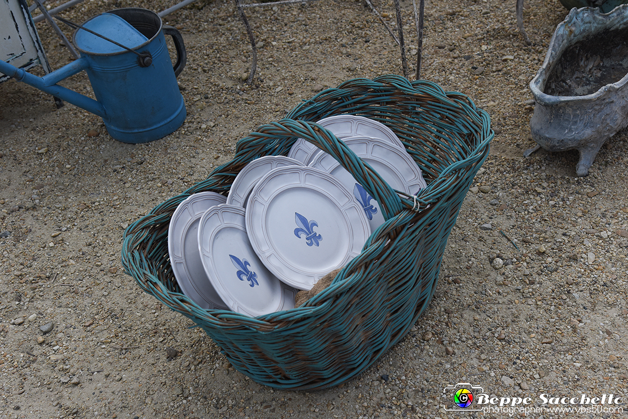 VBS_3494 - Floreal 2023 - Vivere con le piante.jpg
